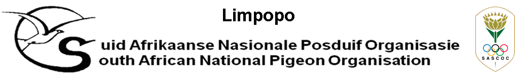 RacingPigeon